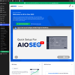 Page screenshot: All in One SEO &rarr; Dashboard