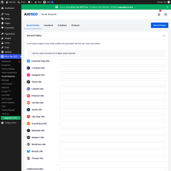 Page screenshot: All in One SEO &rarr; Social Networks