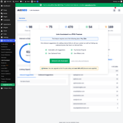 Page screenshot: All in One SEO &rarr; Link Assistant
