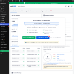 Page screenshot: All in One SEO &rarr; Search Statistics