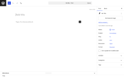 Page screenshot: Add Post &lsaquo; Test site &mdash; WordPress