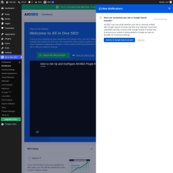 Page screenshot: All in One SEO