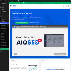 Page screenshot: All in One SEO &rarr; Dashboard