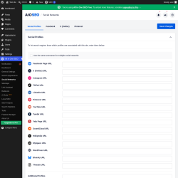 Page screenshot: All in One SEO &rarr; Social Networks