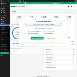 Page screenshot: All in One SEO &rarr; Link Assistant