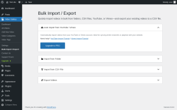 Page screenshot: Video Gallery → Bulk Import / Export