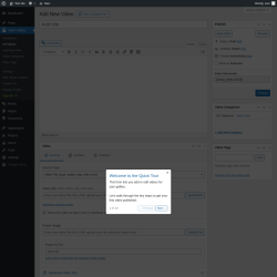 Page screenshot: Video Gallery → Add New Video