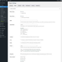 Page screenshot: Video Gallery → Settings → Player