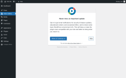Page screenshot: All-in-One Video Gallery ‹ Test site — WordPress
