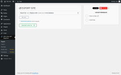 Page screenshot: All-in-One WP Migration