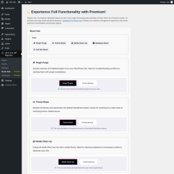 Page screenshot: All-in-One WP Migration → Reset HubPremium
