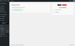 Page screenshot: All-in-One WP Migration &rarr; Backups 0
