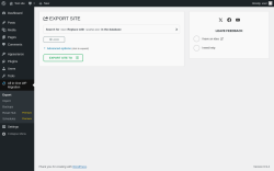 Page screenshot: All-in-One WP Migration