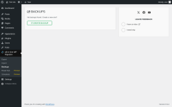 Page screenshot: All-in-One WP Migration &rarr; Backups 0
