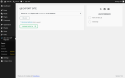 Page screenshot: All-in-One WP Migration