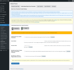 Page screenshot: WP Security &rarr; Brute Force &rarr; Cookie Based Brute Force Prevention
