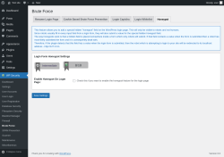 Page screenshot: WP Security &rarr; Brute Force &rarr; Honeypot