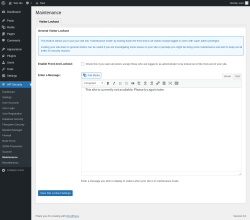 Page screenshot: WP Security &rarr; Maintenance