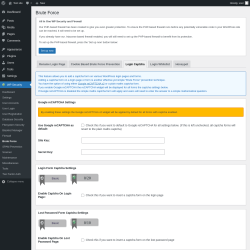 Page screenshot: WP Security &rarr; Brute Force &rarr; Login Captcha