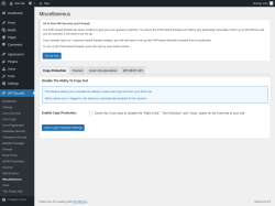 Page screenshot: WP Security &rarr; Miscellaneous