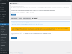 Page screenshot: WP Security &rarr; Miscellaneous &rarr; WP REST API