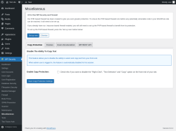 Page screenshot: WP Security &rarr; Miscellaneous