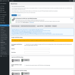Page screenshot: WP Security &rarr; Brute Force &rarr; Login CAPTCHA