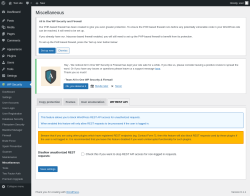 Page screenshot: WP Security &rarr; Miscellaneous &rarr; WP REST API