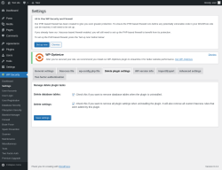 Page screenshot: WP Security &rarr; Settings &rarr; Delete plugin settings
