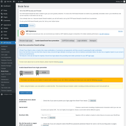 Page screenshot: WP Security &rarr; Brute Force &rarr; Cookie based brute force prevention