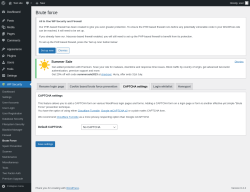 Page screenshot: WP Security &rarr; Brute Force &rarr; CAPTCHA settings