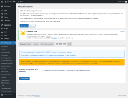 Page screenshot: WP Security &rarr; Miscellaneous &rarr; WP REST API