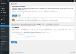 Page screenshot: WP Security &rarr; Brute Force &rarr; CAPTCHA settings