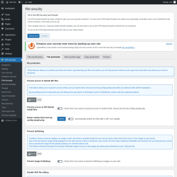 Page screenshot: WP Security &rarr; File Security &rarr; File protection