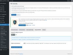 Page screenshot: WP Security &rarr; File Security &rarr; Copy protection