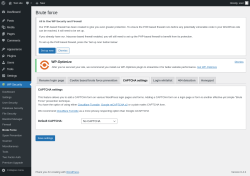 Page screenshot: WP Security &rarr; Brute Force &rarr; CAPTCHA settings