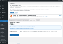 Page screenshot: WP Security &rarr; File Security &rarr; Copy protection