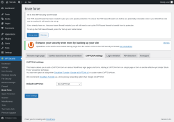 Page screenshot: WP Security &rarr; Brute Force &rarr; CAPTCHA settings