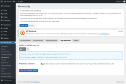 Page screenshot: WP Security &rarr; File Security &rarr; Copy protection
