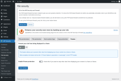 Page screenshot: WP Security &rarr; File Security &rarr; Frames