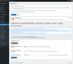 Page screenshot: WP Security &rarr; Brute Force &rarr; 404 detection