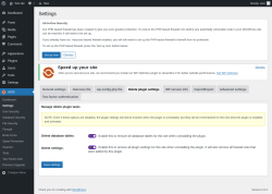 Page screenshot: AIOS → Settings → Delete plugin settings