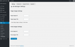 Page screenshot: Settings → Alt Manager