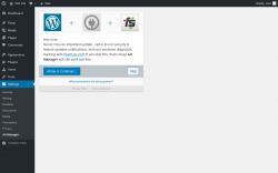Page screenshot: Alt Manager Settings ‹ Test site — WordPress