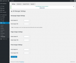 Page screenshot: Settings → Alt Manager