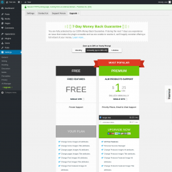 Page screenshot: Settings → Alt Manager → Upgrade  ➤