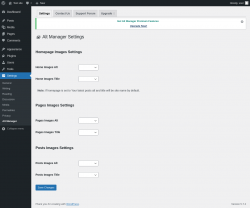 Page screenshot: Settings → Alt Manager