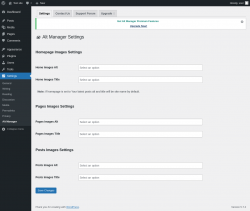 Page screenshot: Settings → Alt Manager