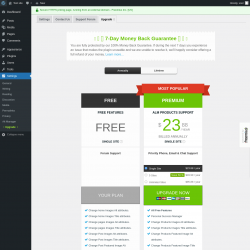 Page screenshot: Settings → Alt Manager → Upgrade  ➤