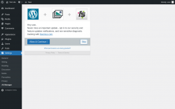 Page screenshot: Alt Manager Settings ‹ Test site — WordPress
